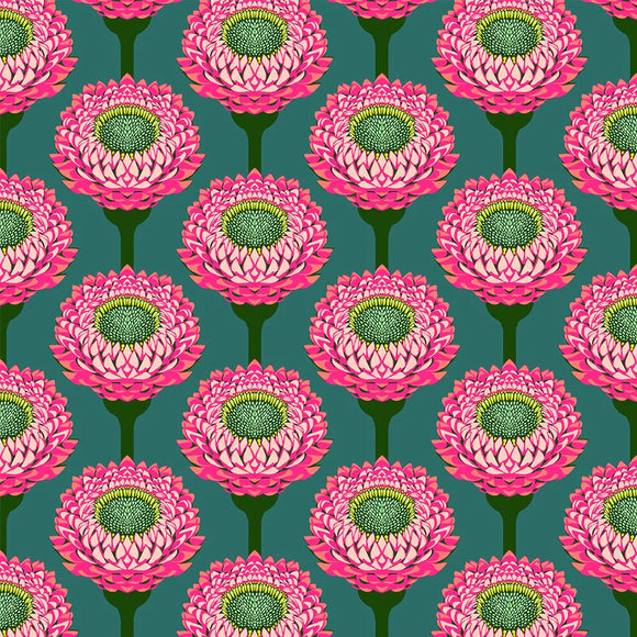 Strawflower i farven Bursting fra kollektionen Iconic af Anna Maria Textiles